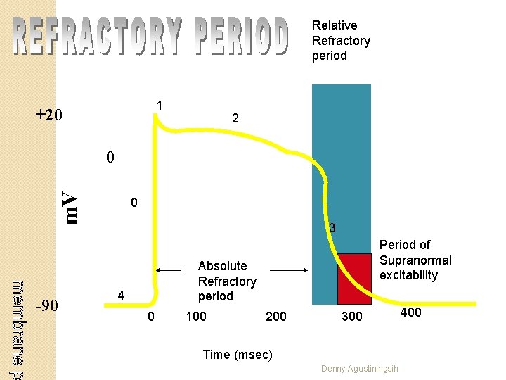 Relative Refractory period 1 +20 2 m. V 0 -90 0 3 Period of