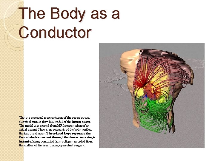 The Body as a Conductor This is a graphical representation of the geometry and