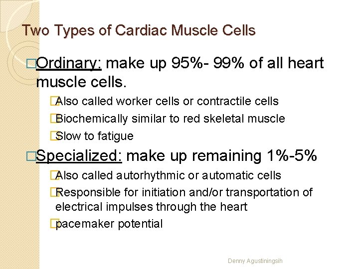 Two Types of Cardiac Muscle Cells �Ordinary: make up 95%- 99% of all heart