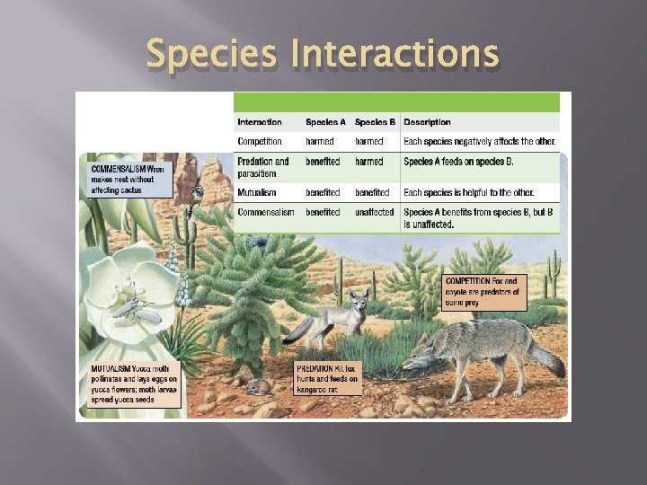 Species Interactions 