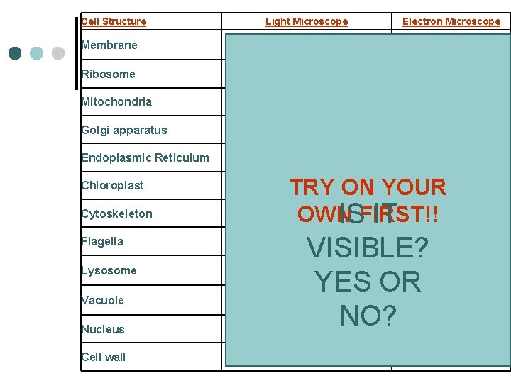 Cell Structure Light Microscope Electron Microscope Membrane YES – but not in much detail