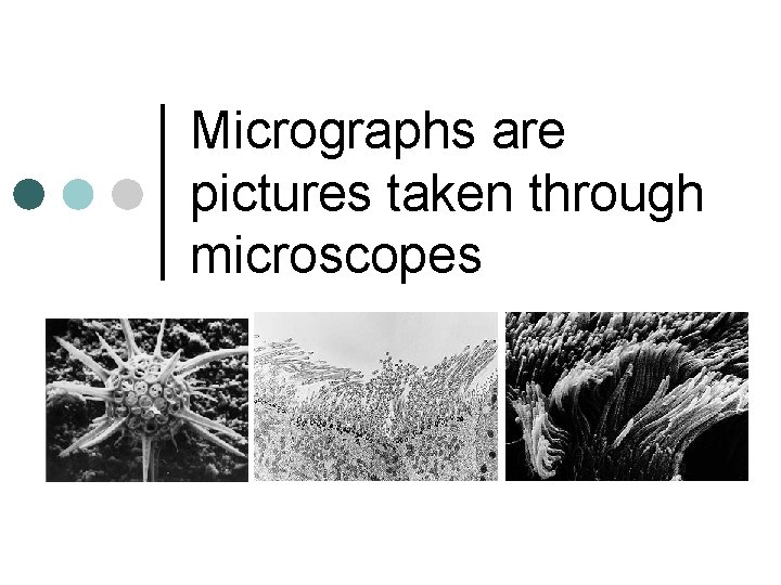 Micrographs are pictures taken through microscopes 