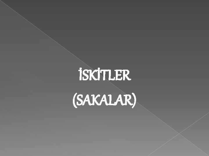 İSKİTLER (SAKALAR) 