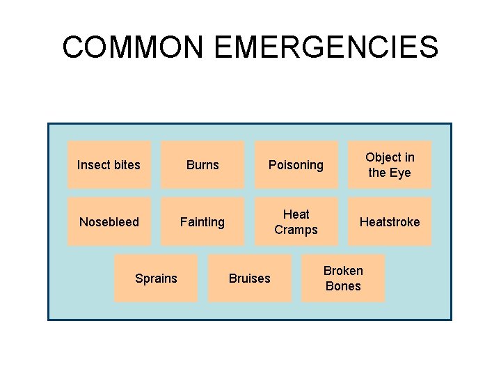 COMMON EMERGENCIES Insect bites Burns Poisoning Object in the Eye Nosebleed Fainting Heat Cramps