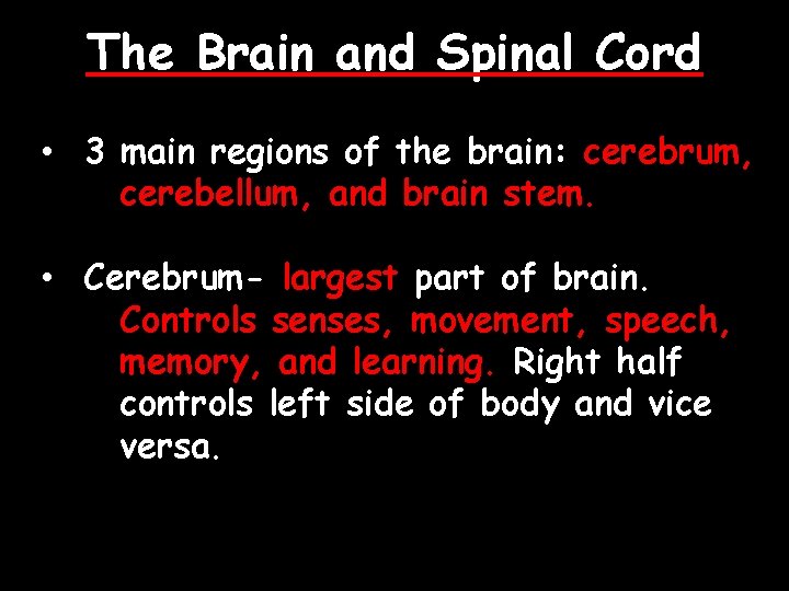 The Brain and Spinal Cord • 3 main regions of the brain: cerebrum, cerebellum,