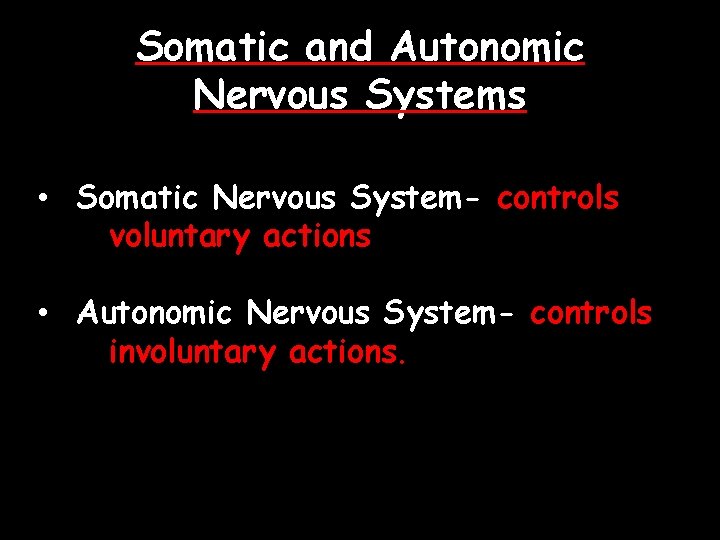 Somatic and Autonomic Nervous Systems • Somatic Nervous System- controls voluntary actions • Autonomic