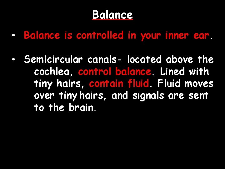 Balance • Balance is controlled in your inner ear. • Semicircular canals- located above