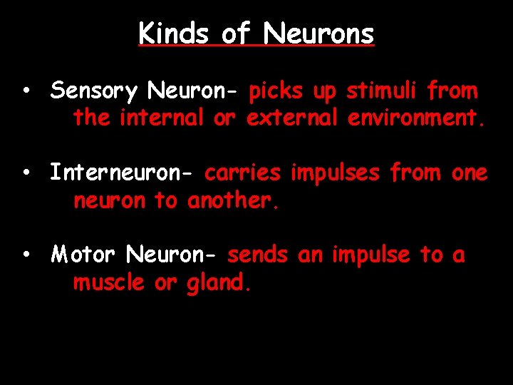 Kinds of Neurons • Sensory Neuron- picks up stimuli from the internal or external