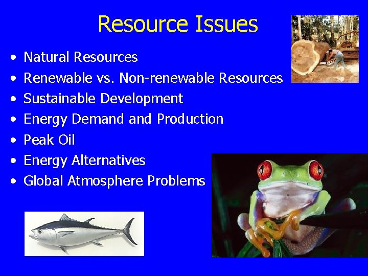 Resource Issues • • Natural Resources Renewable vs. Non-renewable Resources Sustainable Development Energy Demand