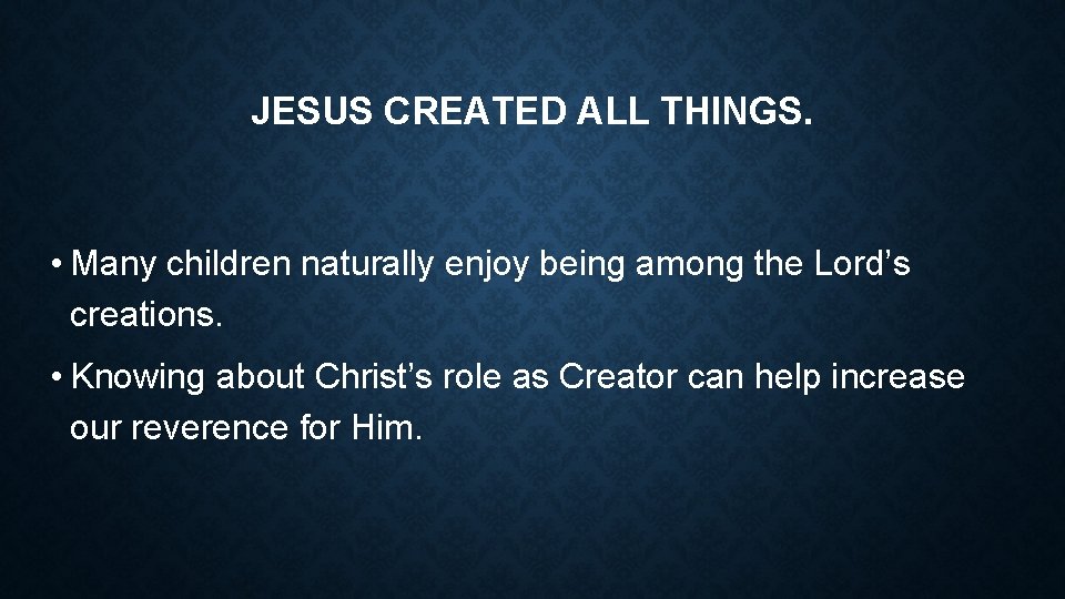 JESUS CREATED ALL THINGS. • Many children naturally enjoy being among the Lord’s creations.
