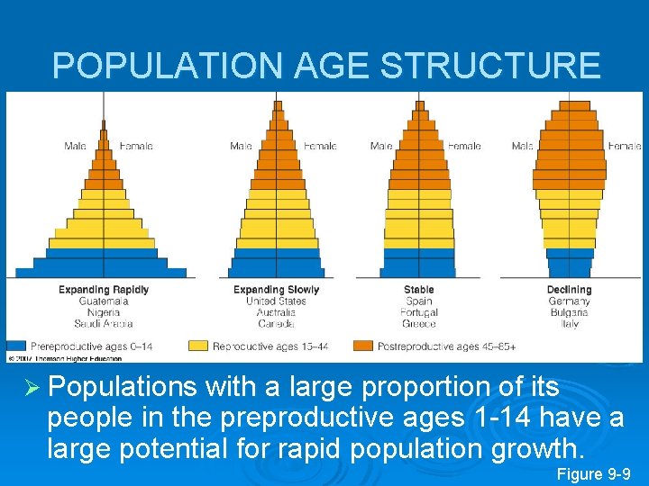POPULATION AGE STRUCTURE Ø Populations with a large proportion of its people in the