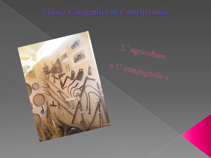Museo Etnografico di Casteltermini L’ agr icoltor « U ca mpagn e olu »