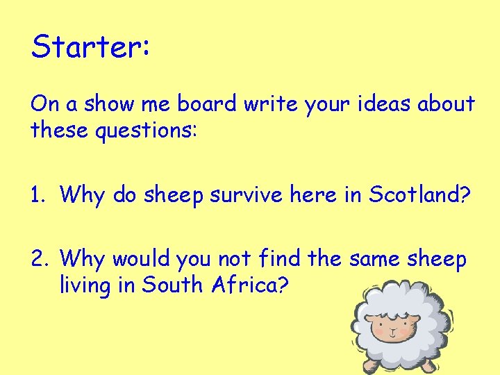 Starter: On a show me board write your ideas about these questions: 1. Why