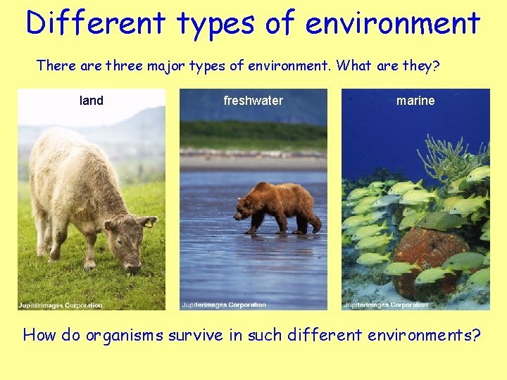 Different types of environment There are three major types of environment. What are they?