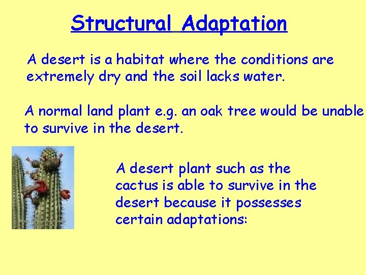 Structural Adaptation A desert is a habitat where the conditions are extremely dry and