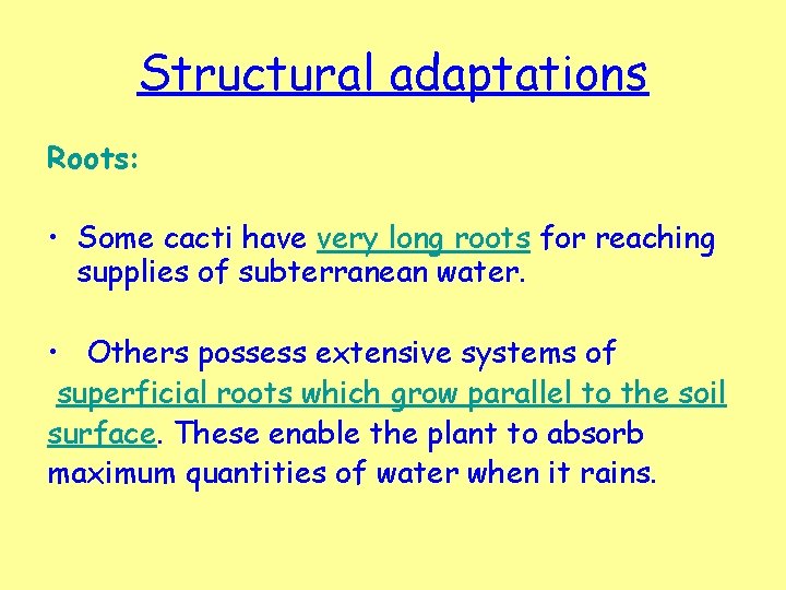 Structural adaptations Roots: • Some cacti have very long roots for reaching supplies of