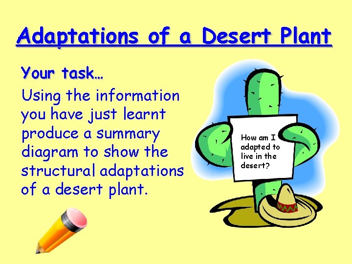 Adaptations of a Desert Plant Your task… Using the information you have just learnt