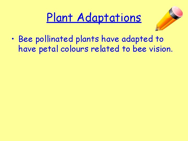 Plant Adaptations • Bee pollinated plants have adapted to have petal colours related to