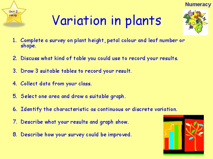 Numeracy Unit 2 recap Variation in plants 1. Complete a survey on plant height,