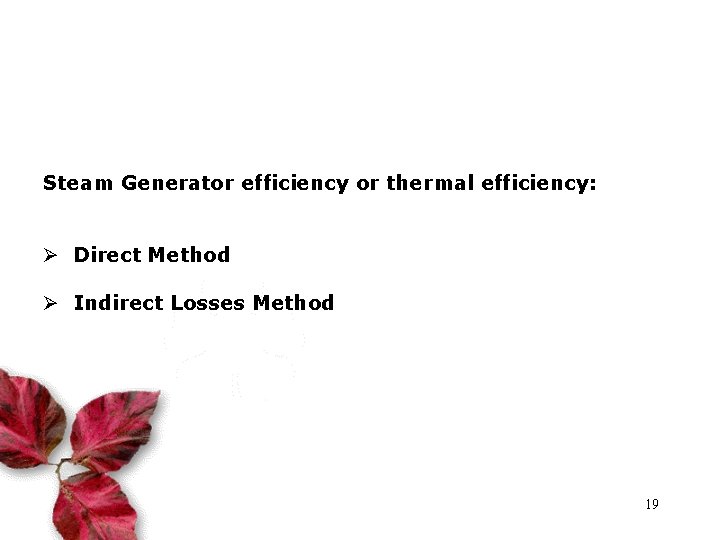 Steam Generator efficiency or thermal efficiency: Ø Direct Method Ø Indirect Losses Method 19