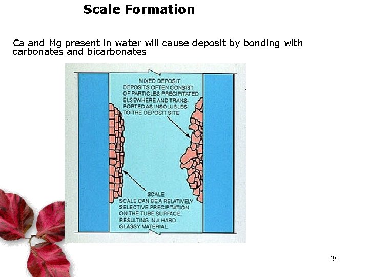 Scale Formation Ca and Mg present in water will cause deposit by bonding with
