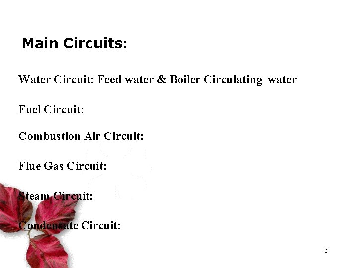 Main Circuits: Water Circuit: Feed water & Boiler Circulating water Fuel Circuit: Combustion Air