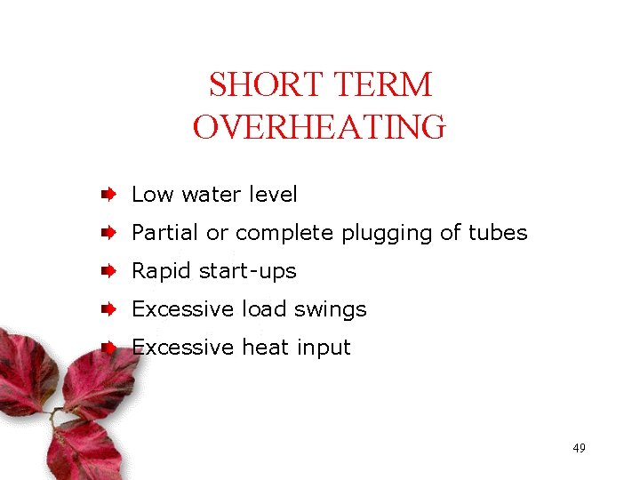 SHORT TERM OVERHEATING TYPICAL CAUSES: Low water level Partial or complete plugging of tubes