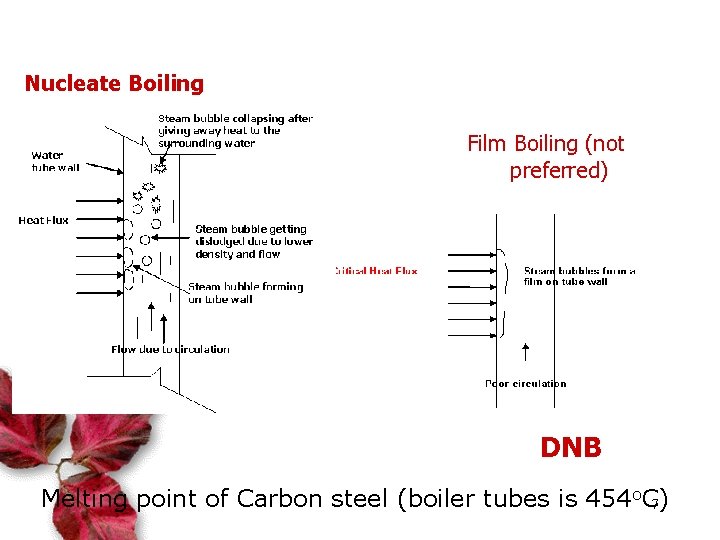 Nucleate Boiling Film Boiling (not preferred) DNB Melting point of Carbon steel (boiler tubes