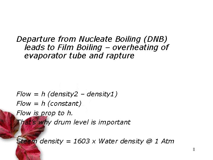 Departure from Nucleate Boiling (DNB) leads to Film Boiling – overheating of evaporator tube