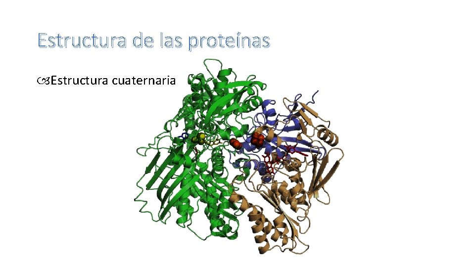 Estructura de las proteínas Estructura cuaternaria 