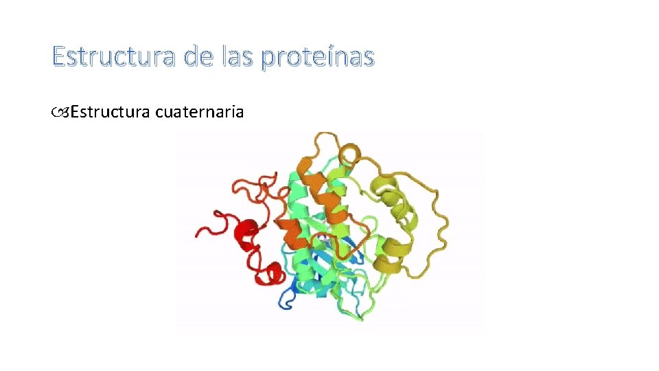 Estructura de las proteínas Estructura cuaternaria 