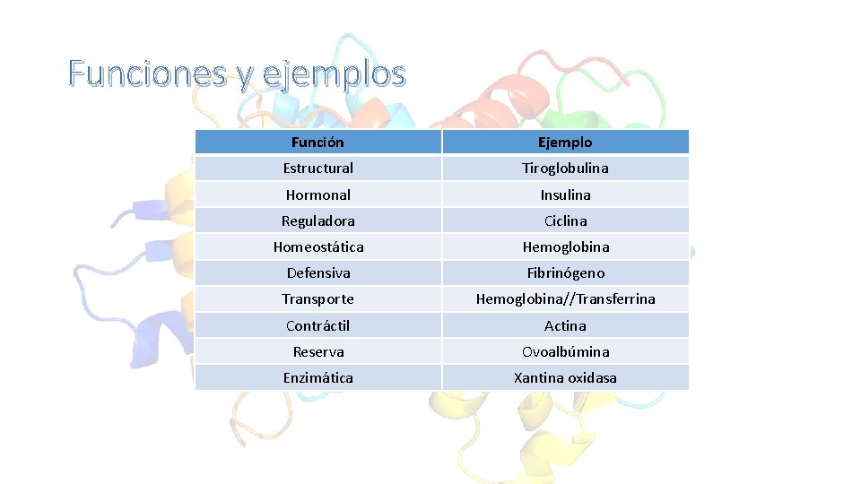 Funciones y ejemplos Función Ejemplo Estructural Tiroglobulina Hormonal Insulina Reguladora Ciclina Homeostática Hemoglobina Defensiva