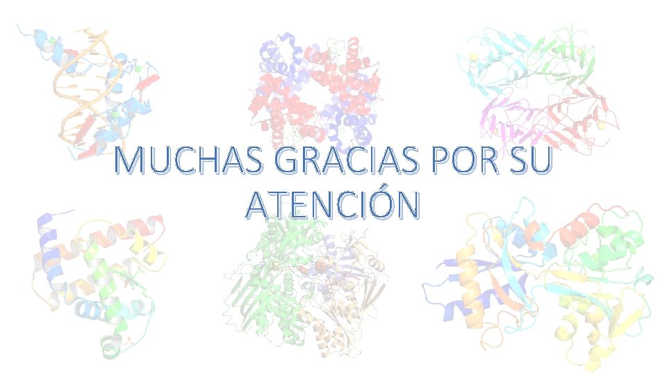 MUCHAS GRACIAS POR SU ATENCIÓN 