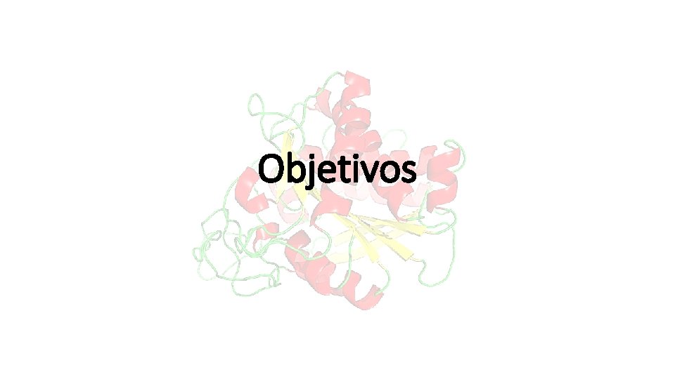 Objetivos 