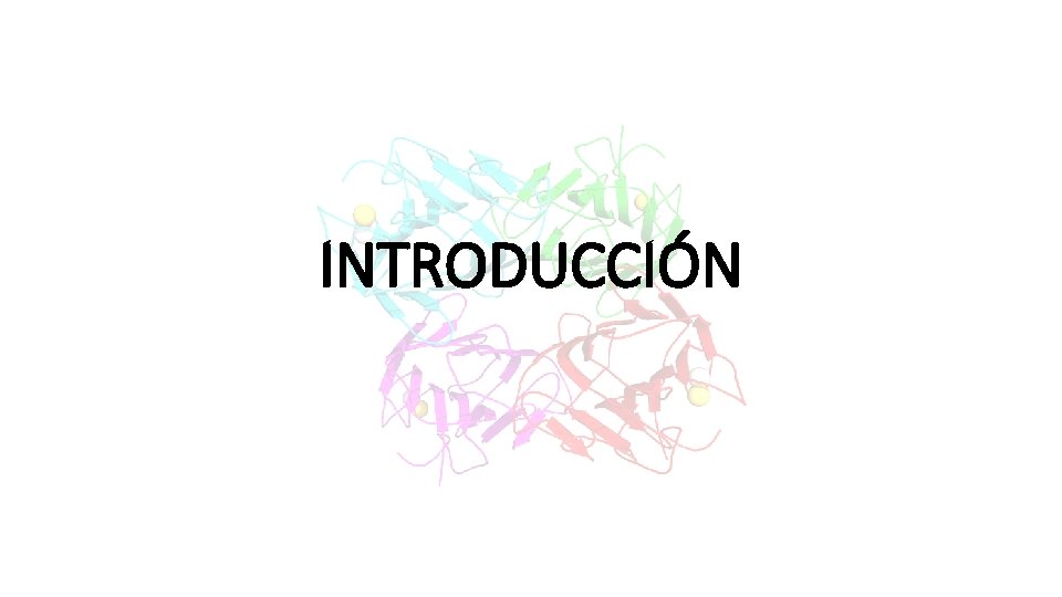 INTRODUCCIÓN 