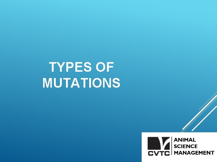 TYPES OF MUTATIONS 