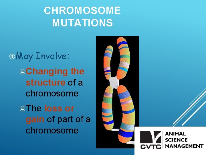 CHROMOSOME MUTATIONS May Involve: Changing the structure of a chromosome The loss or gain