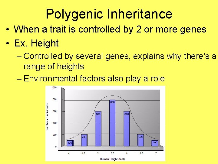 Polygenic Inheritance • When a trait is controlled by 2 or more genes •
