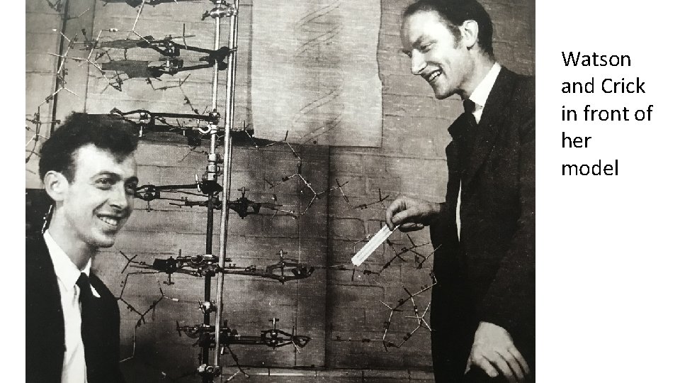 Watson and Crick in front of her model 