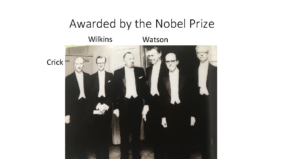 Awarded by the Nobel Prize Wilkins Crick Watson 