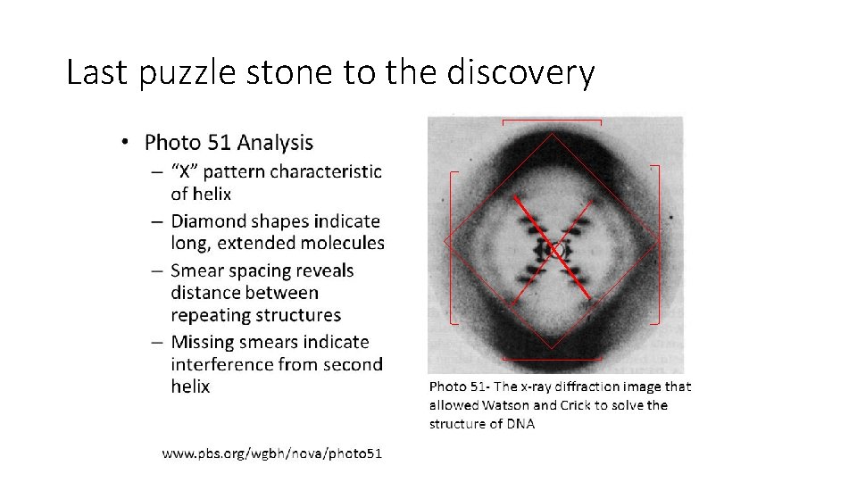 Last puzzle stone to the discovery 