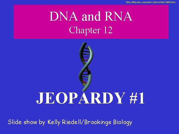 http: //faculty. uca. edu/~johnc/mbi 1440. htm DNA and RNA Chapter 12 JEOPARDY #1 Slide