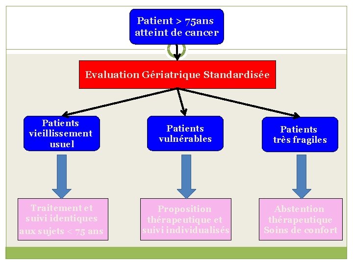 Patient > 75 ans atteint de cancer Evaluation Gériatrique Standardisée Patients vieillissement usuel Patients