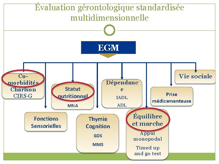 Évaluation gérontologique standardisée multidimensionnelle EGM Comorbidités Charlson CIRS-G Dépendanc e Statut nutritionnel IADL MNA