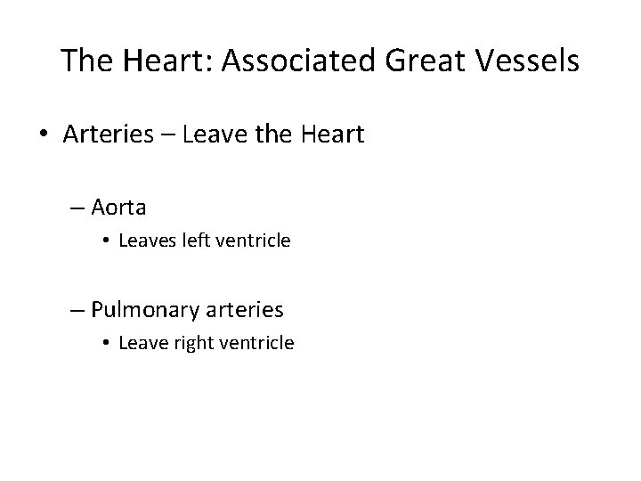 The Heart: Associated Great Vessels • Arteries – Leave the Heart – Aorta •