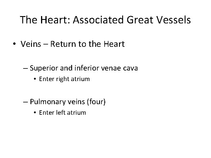 The Heart: Associated Great Vessels • Veins – Return to the Heart – Superior