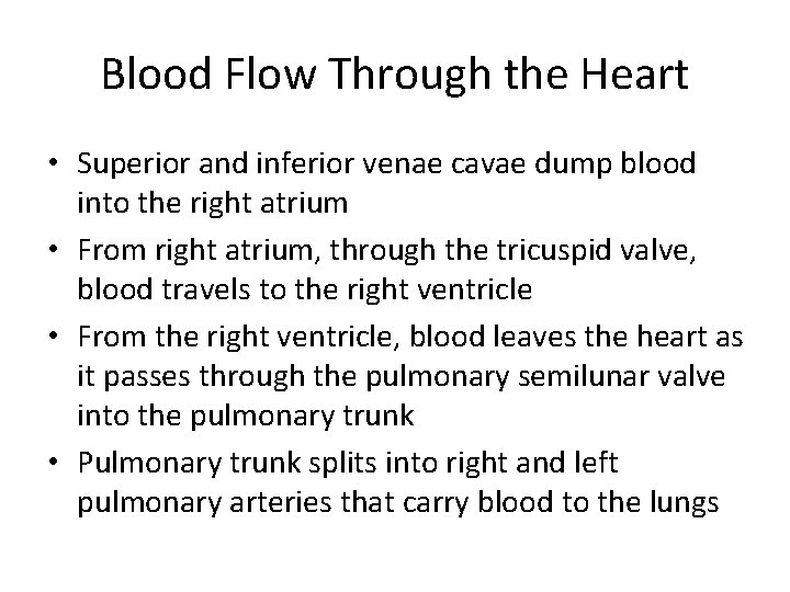 Blood Flow Through the Heart • Superior and inferior venae cavae dump blood into