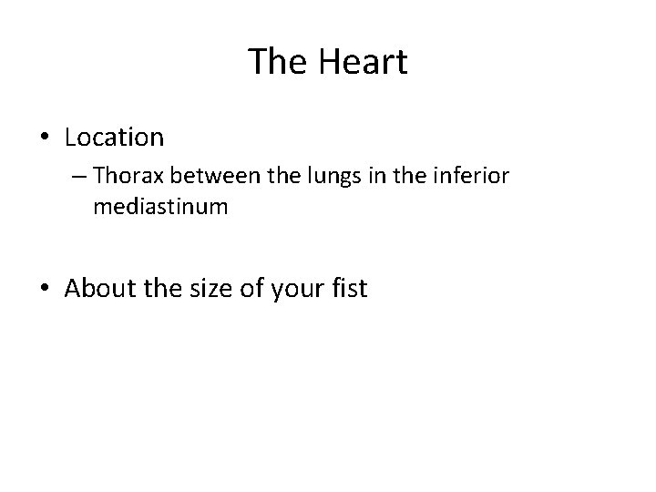 The Heart • Location – Thorax between the lungs in the inferior mediastinum •