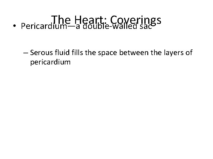  • The Heart: Coverings Pericardium—a double-walled sac – Serous fluid fills the space