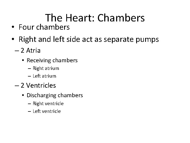 The Heart: Chambers • Four chambers • Right and left side act as separate